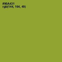 #90A431 - Sushi Color Image