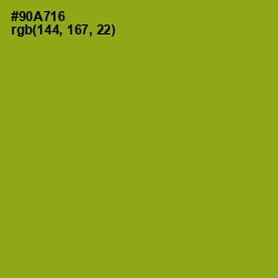 #90A716 - Citron Color Image