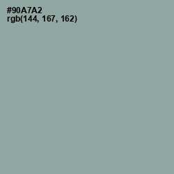 #90A7A2 - Pewter Color Image