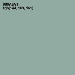 #90A9A1 - Pewter Color Image