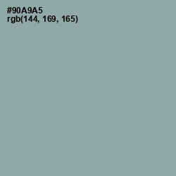 #90A9A5 - Pewter Color Image