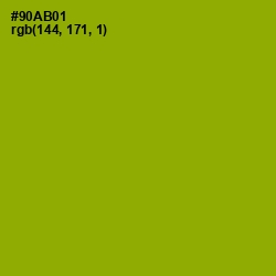 #90AB01 - Citron Color Image