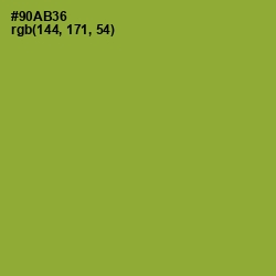 #90AB36 - Sushi Color Image