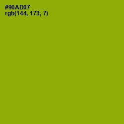 #90AD07 - Citron Color Image