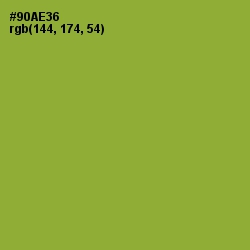 #90AE36 - Sushi Color Image