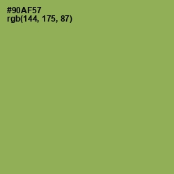 #90AF57 - Chelsea Cucumber Color Image