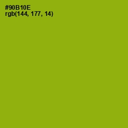 #90B10E - Citron Color Image