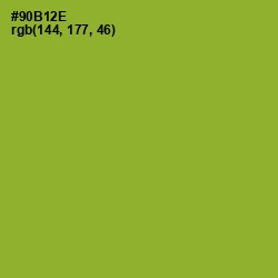 #90B12E - Sushi Color Image