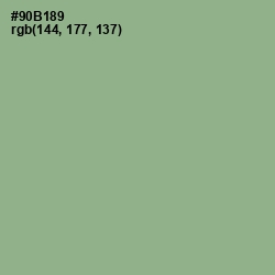 #90B189 - Envy Color Image