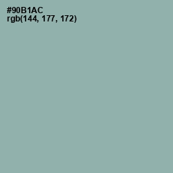 #90B1AC - Summer Green Color Image