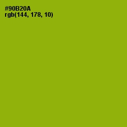 #90B20A - Citron Color Image