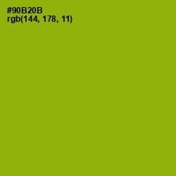 #90B20B - Citron Color Image