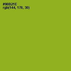 #90B21E - Citron Color Image