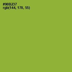 #90B237 - Sushi Color Image