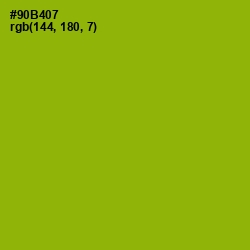 #90B407 - Citron Color Image