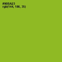 #90BA23 - Sushi Color Image