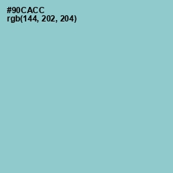 #90CACC - Half Baked Color Image