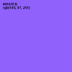 #9161FB - Medium Purple Color Image