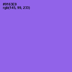 #9163E9 - Medium Purple Color Image