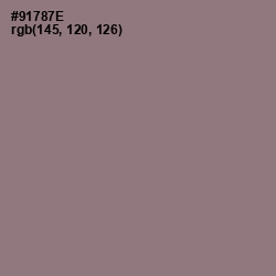 #91787E - Bazaar Color Image