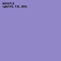 #9187C8 - Blue Bell Color Image