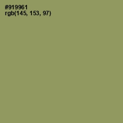 #919961 - Avocado Color Image