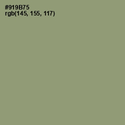 #919B75 - Gurkha Color Image