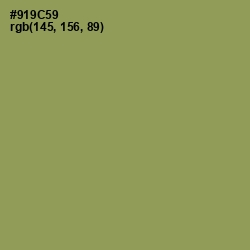 #919C59 - Chelsea Cucumber Color Image