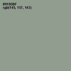 #919D8F - Lemon Grass Color Image