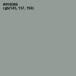 #919D96 - Mountain Mist Color Image