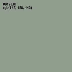 #919E8F - Lemon Grass Color Image