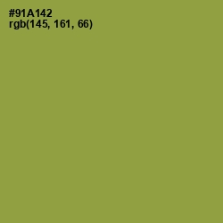 #91A142 - Chelsea Cucumber Color Image