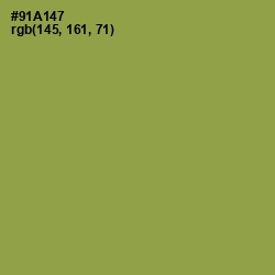 #91A147 - Chelsea Cucumber Color Image