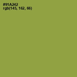 #91A242 - Chelsea Cucumber Color Image