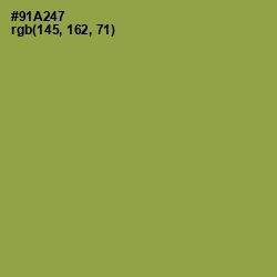 #91A247 - Chelsea Cucumber Color Image