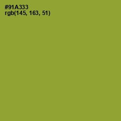 #91A333 - Sushi Color Image