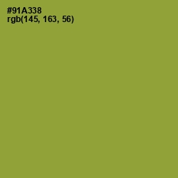 #91A338 - Sushi Color Image