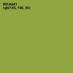 #91A641 - Chelsea Cucumber Color Image