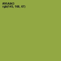 #91A843 - Chelsea Cucumber Color Image