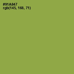 #91A847 - Chelsea Cucumber Color Image