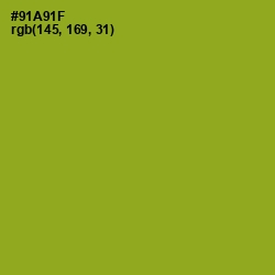 #91A91F - Citron Color Image