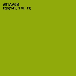 #91AA0B - Citron Color Image