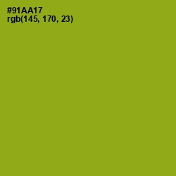 #91AA17 - Citron Color Image