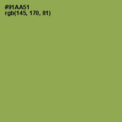 #91AA51 - Chelsea Cucumber Color Image