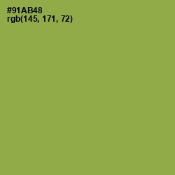 #91AB48 - Chelsea Cucumber Color Image