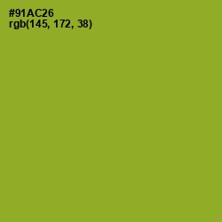 #91AC26 - Sushi Color Image