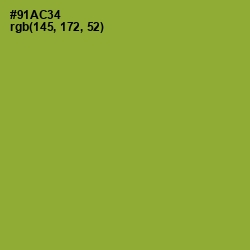 #91AC34 - Sushi Color Image