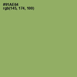 #91AE64 - Olivine Color Image