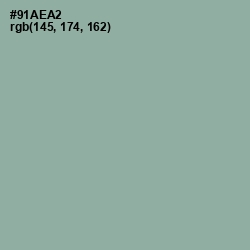 #91AEA2 - Pewter Color Image