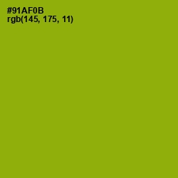 #91AF0B - Citron Color Image